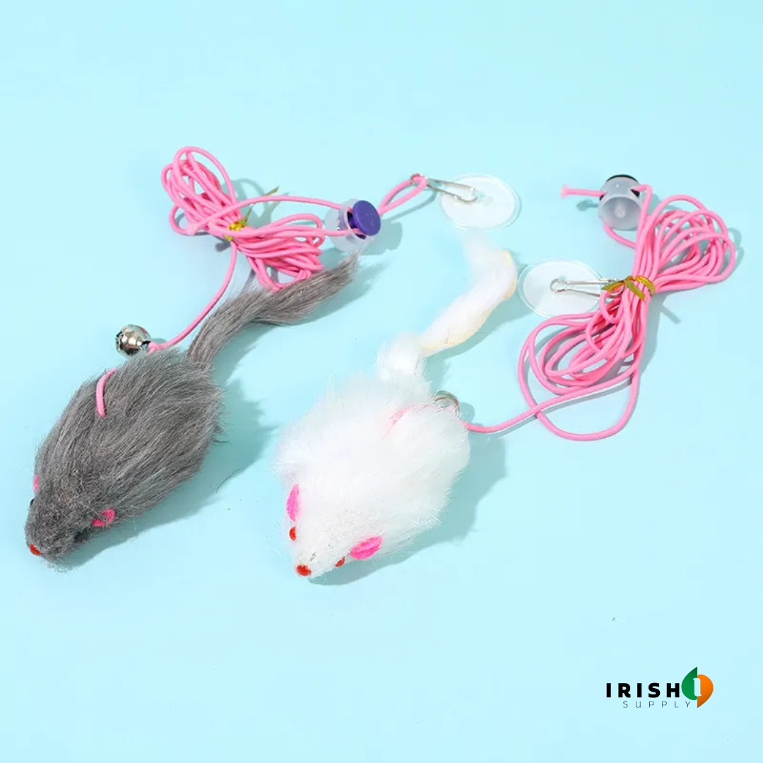 KITTYTETHER Hanging Door Type Interactive Kitten Toy