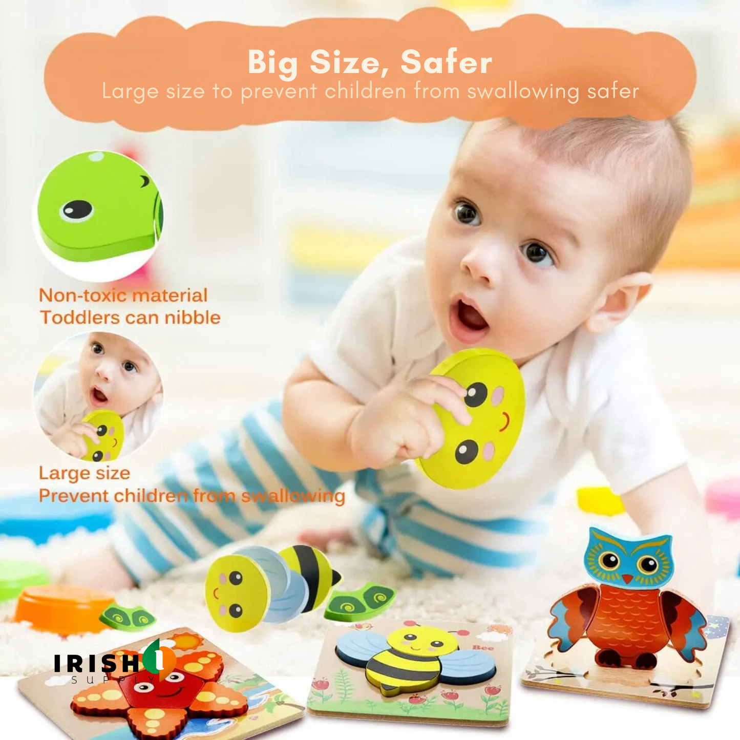 BRAINZOO Cognitive Animal Play