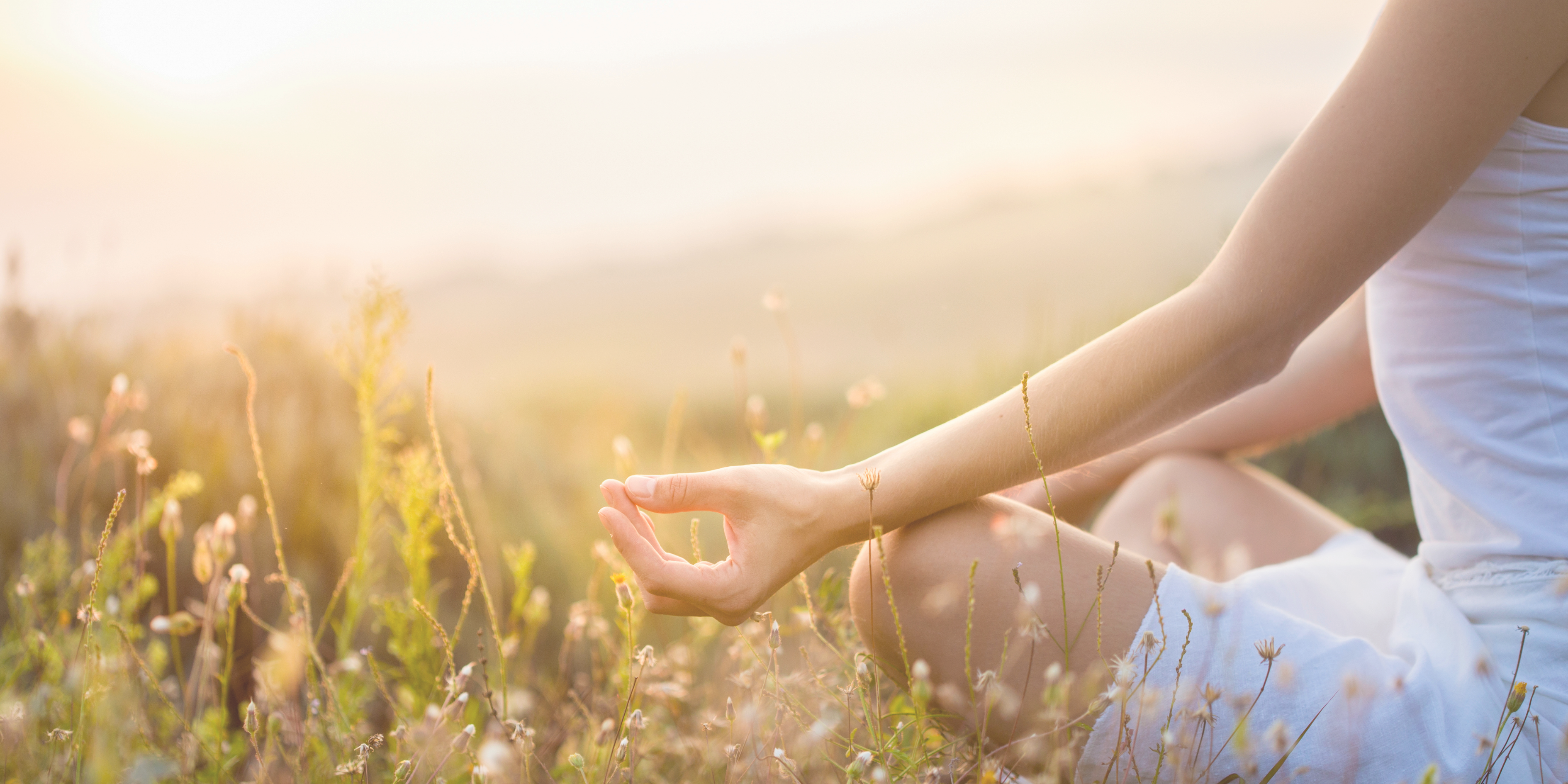 Wellness essentials, delivered across Ireland.