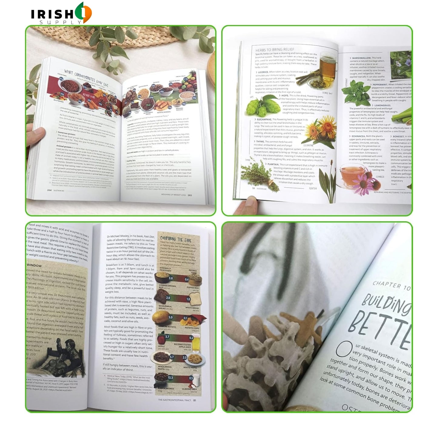 Sustain Me The 9 Foundational Pillars for Health Guide Book